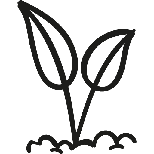Leaves germinating germination leaf nature icon