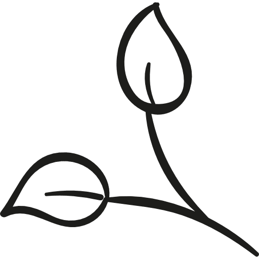 Two leaves plant leaf nature leaves icon
