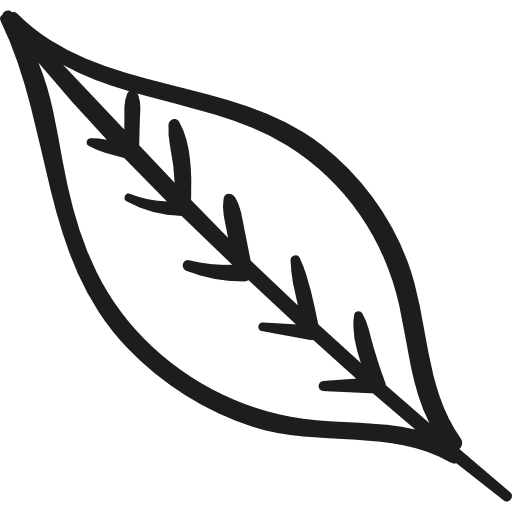 Fall leaf nature leaf autumn icon