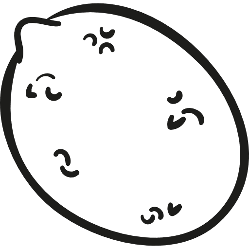 Garden lemon sour fruit lemon icon