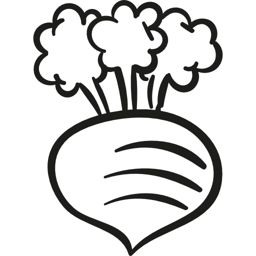 Gardening radish organic salad vegetable icon