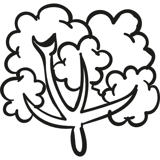 Leafy tree nature woods forest icon