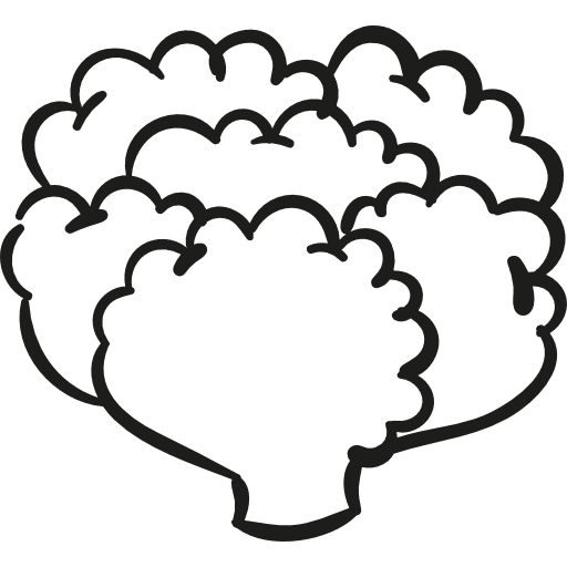 Lettuce vegetable lunch plants icon