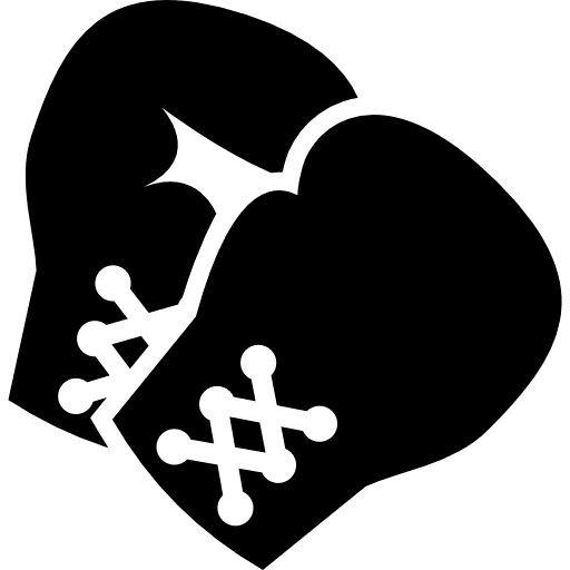 Boxing gloves sports boxing punch icon