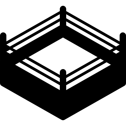 Boxing ring box battle fighters icon