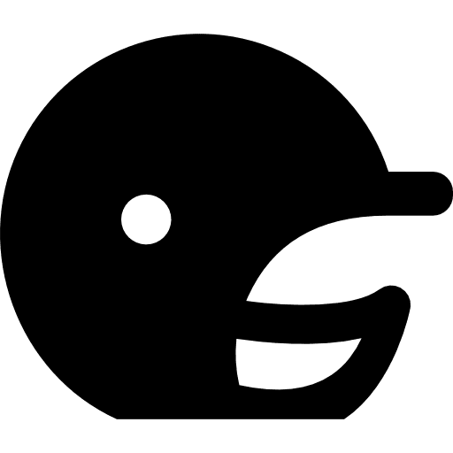 Cricket helmet helmet cricket protected icon