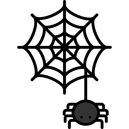 Spider animal kingdom arachnid insect icon