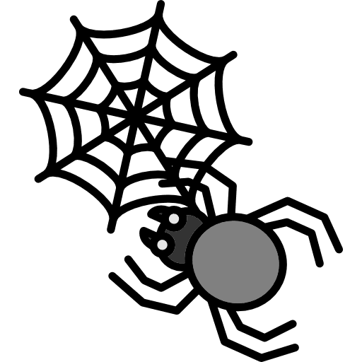 Spider animals insect animal kingdom icon