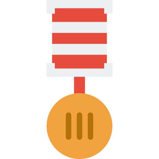 Medal champion award medal icon