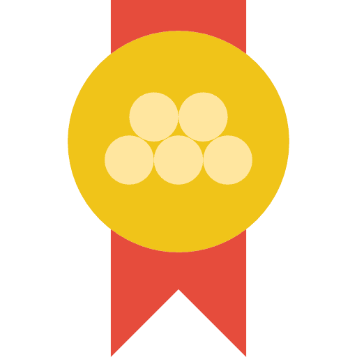 Medal winner champion sports and competition icon