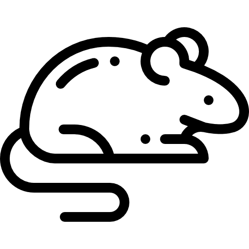 Mouse animals pet wildlife icon