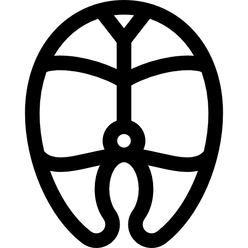 Fish food healthy food salmon icon