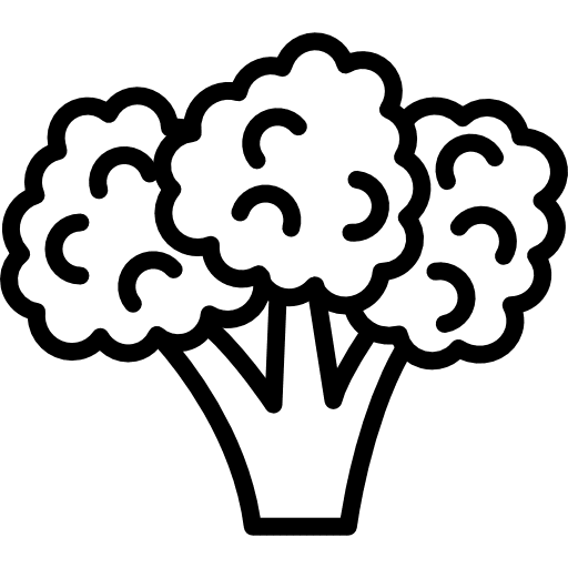 Broccoli vegetarian foods healthy food icon