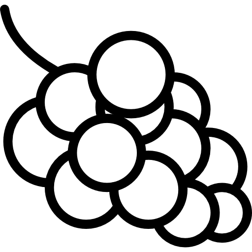 Grapes vegetables vegetable fruit icon