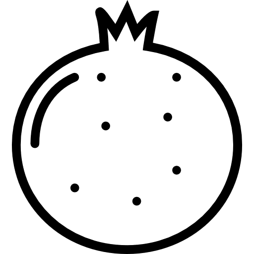 Pomegranate vegetarian healthy food vegan icon