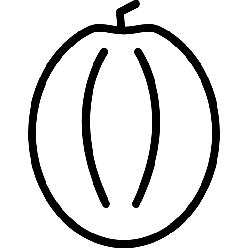 Pumpkin fruit vegetarian healthy food icon