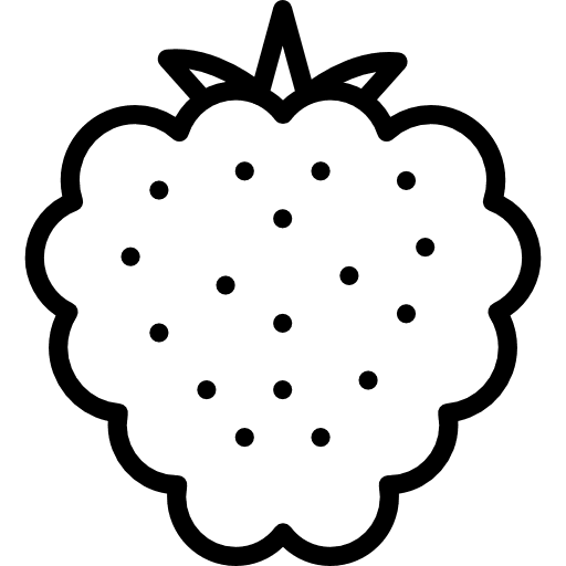 Raspberry vegetarian vegan vegetables icon