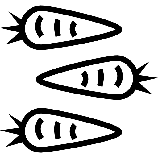 Carrot organic vegetable diet icon