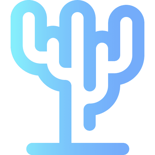 Cactus dry desert botanical icon