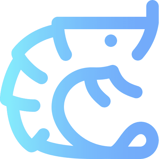Shrimp animal shrimp food icon