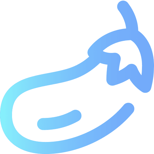 Eggplant vegetable vegetarian diet icon