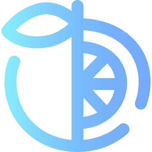 Orange organic diet healthy food icon