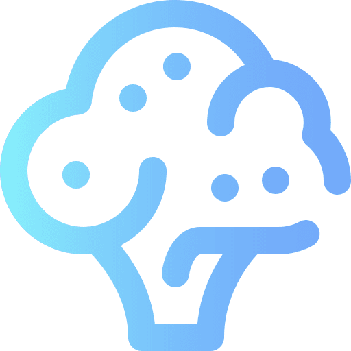 Broccoli healthy food broccoli vegetable icon