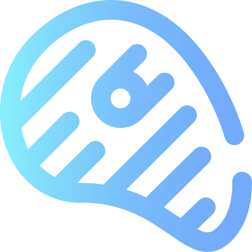 Steak steak barbecue proteins icon
