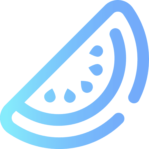 Watermelon diet vegan watermelon icon