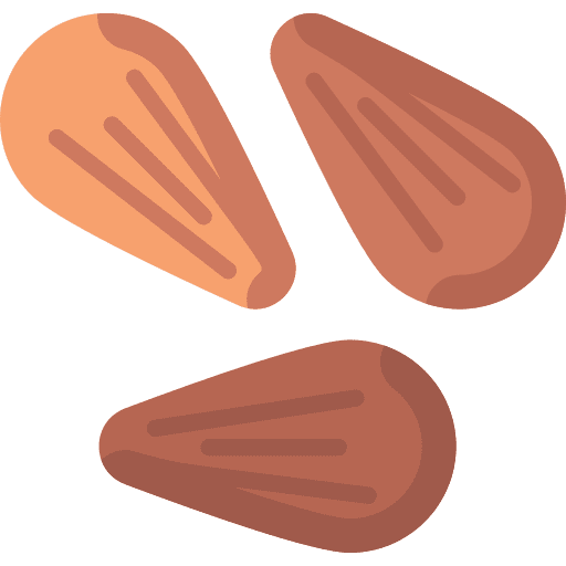 Almond vegan dried fruit organic icon