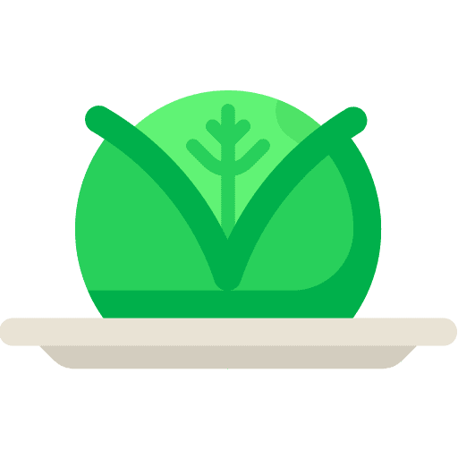 Cabbage cabbage healthy food food and restaurant icon