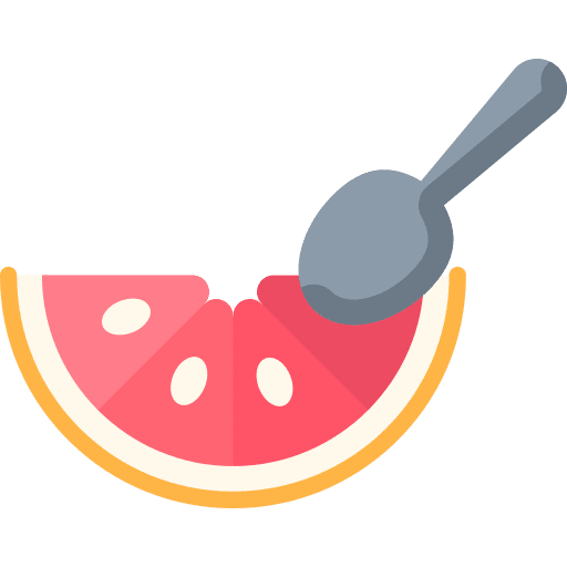 Grapefruit vegan food healthy food icon
