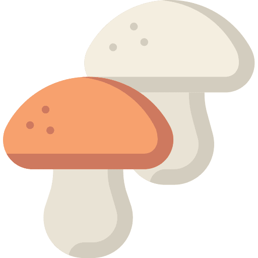 Mushrooms food fungi diet icon