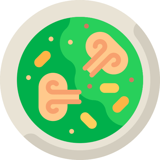 Salad vegan organic salad icon