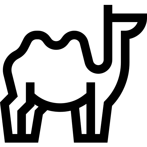 Camel camel animals wild life icon