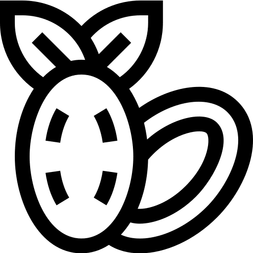 Dates date food healthy food icon