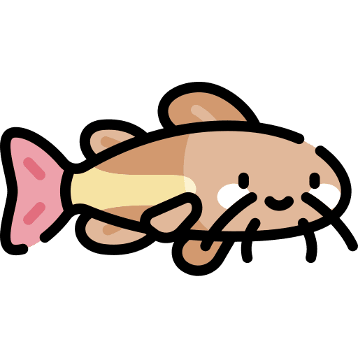 Catfish sea life food catfish icon