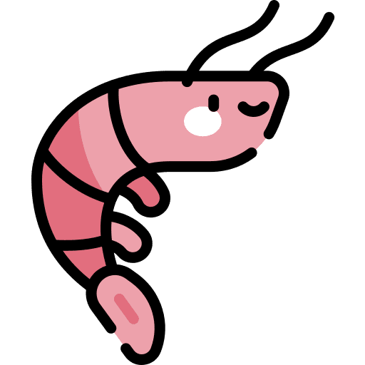 Shrimp animal animals shellfish icon