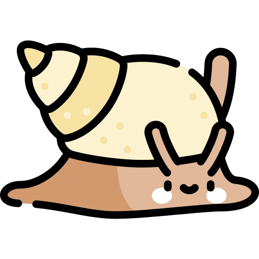 Snail sea snail conch shell sea life icon