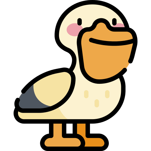 Pelican animal kingdom pelican bird icon