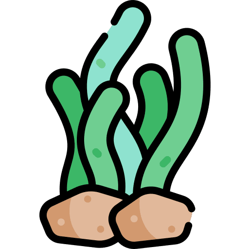 Seaweed aquatic seaweed aquarium icon