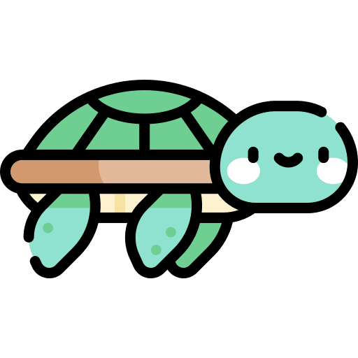 Turtle tortoise pet amphibian icon
