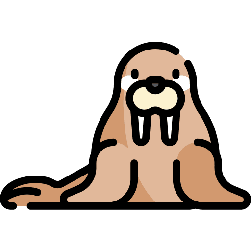 Walrus animal walrus animal kingdom icon