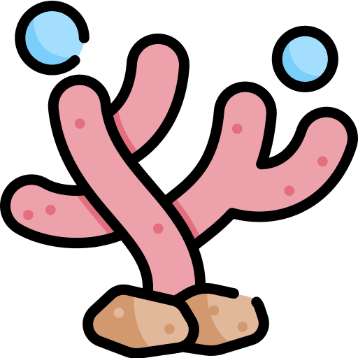 Coral sea life aquatic aquarium icon