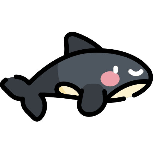 Killer whale ocean sea mammal icon
