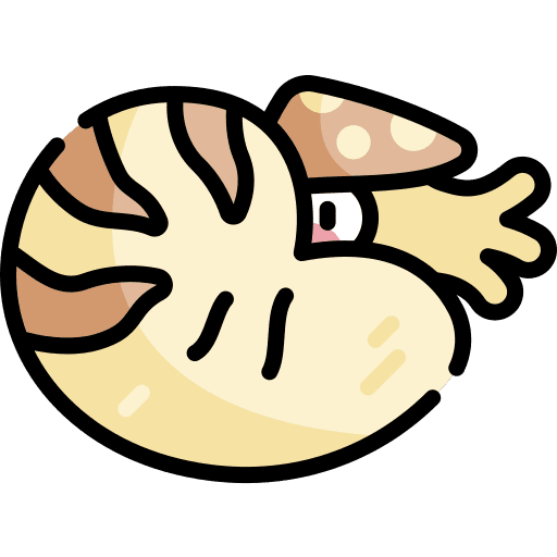 Nautilus sea nautilus sea life icon
