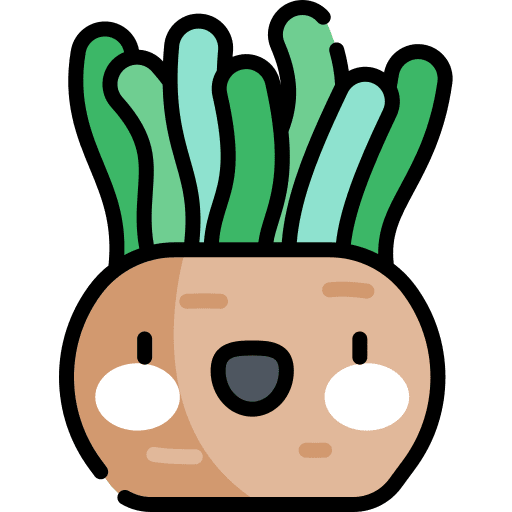 Sea anemone sea life sea anemone aquarium icon