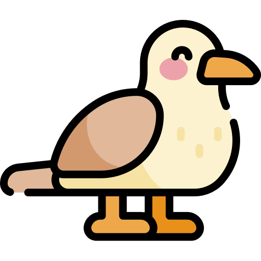Seagull sea birds animals icon