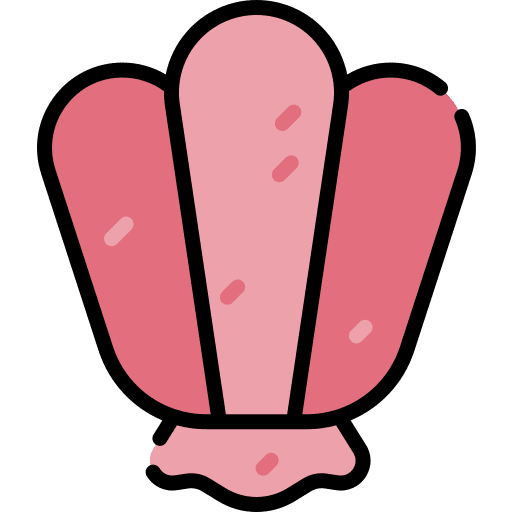 Shell animals shell holidays icon