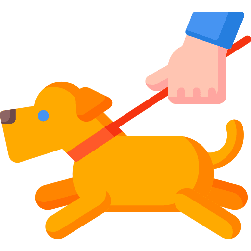 Animals walk routine dog icon